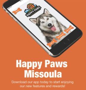 Happy-Paws-flyer | Happy Paws